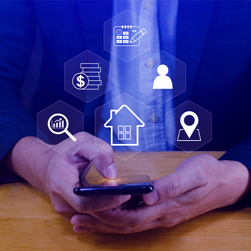 Landlords & Letting Professionals 